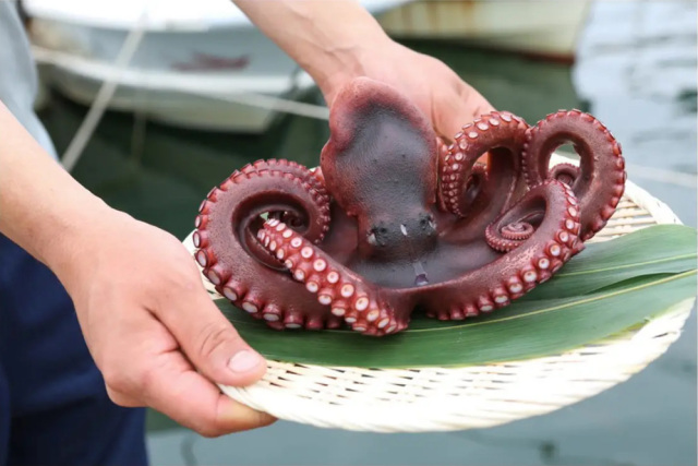 七福丸(ひちふくまる)