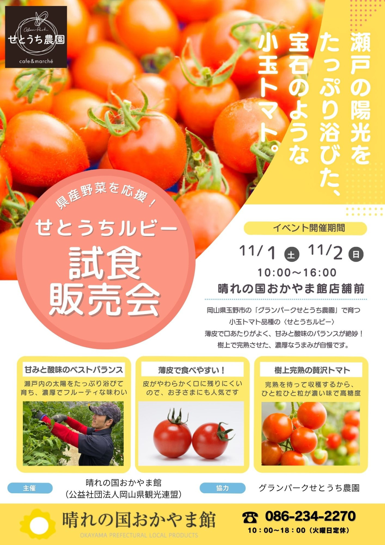チラシ1