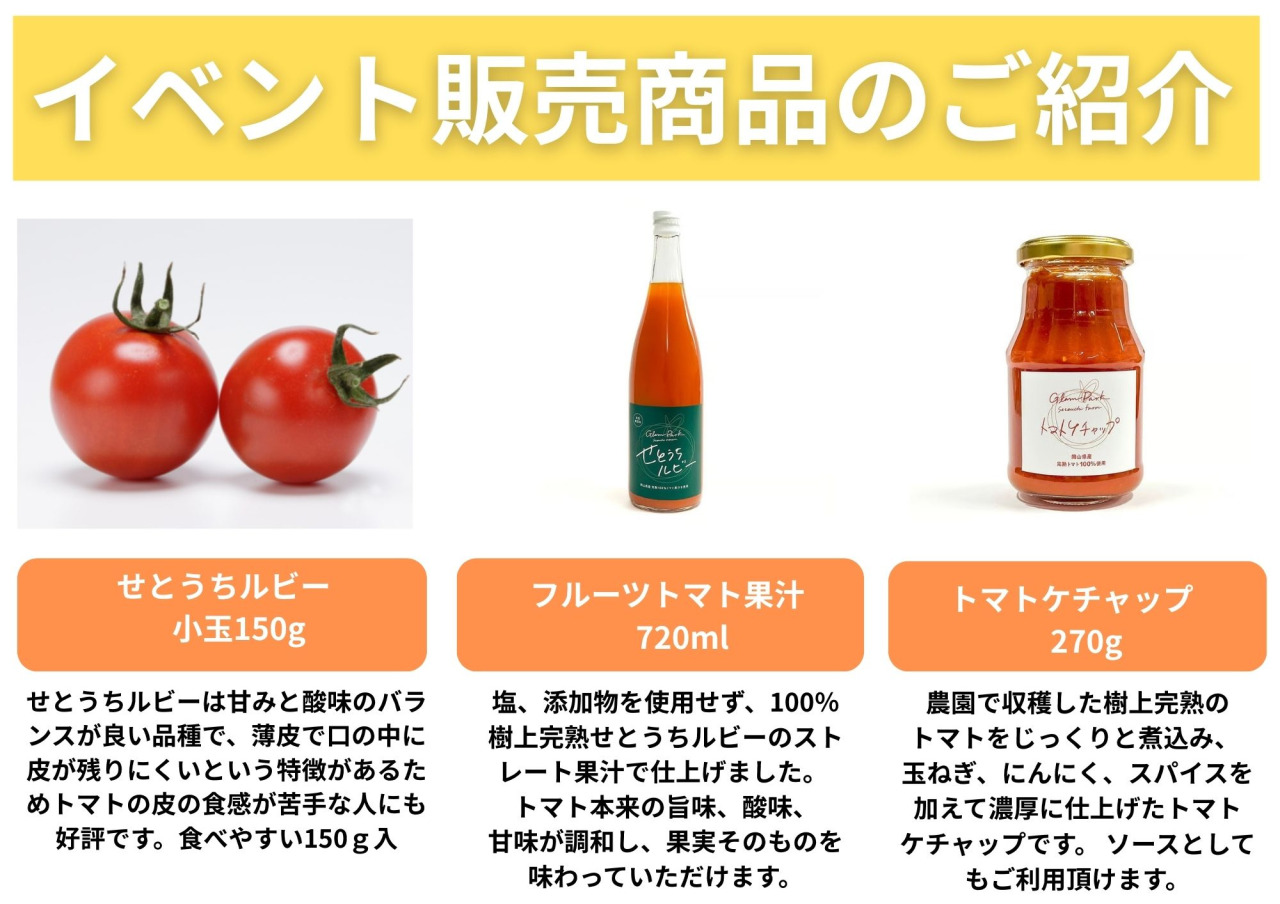 チラシ2