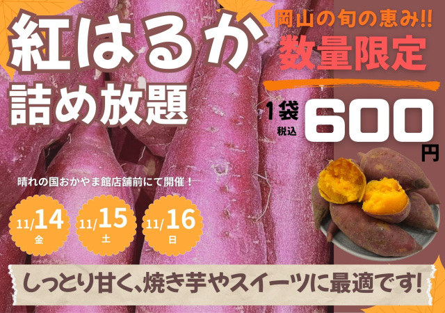 晴れの国おかやま館 紅はるか 詰め放題!