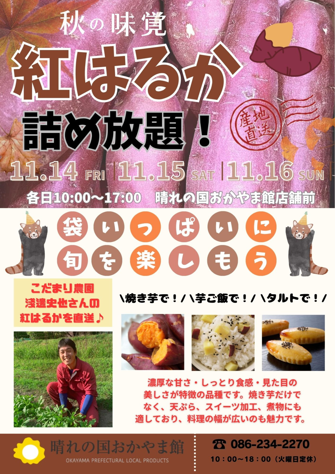 チラシ