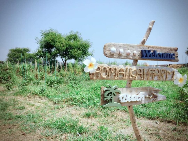 ポマイカイ農園