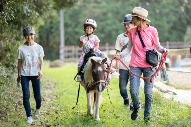 【要予約】ハッピーホースファームの遊び・体験