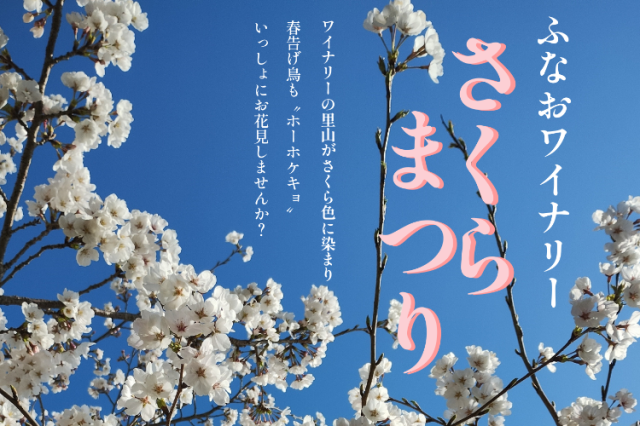 【2026年】ふなおワイナリー　さくらまつり
