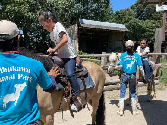 渋川動物公園 乗馬体験