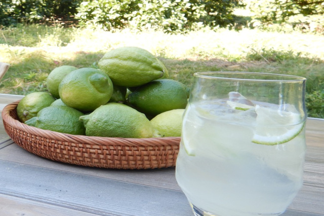 グルメ×瀬戸内市めぐり