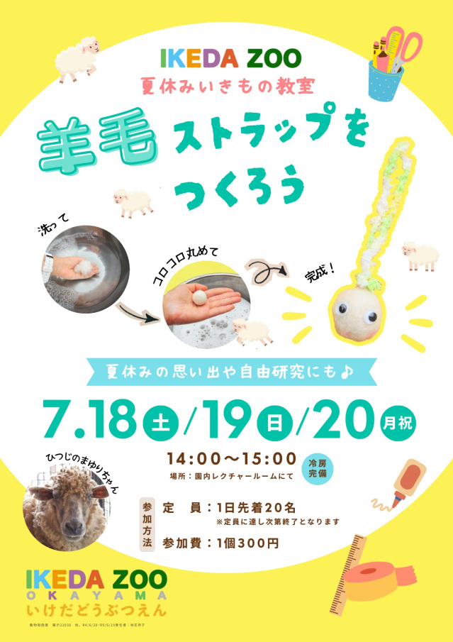 池田動物園 【夏休みいきもの教室】ヒツジの毛で羊毛ストラッ…