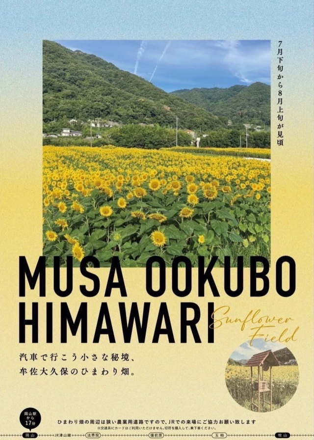 MUSA OOKUBO HIMAWARI(牟佐のひまわり畑)