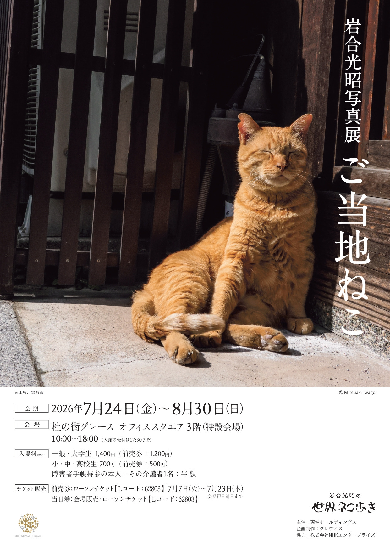 チラシ表