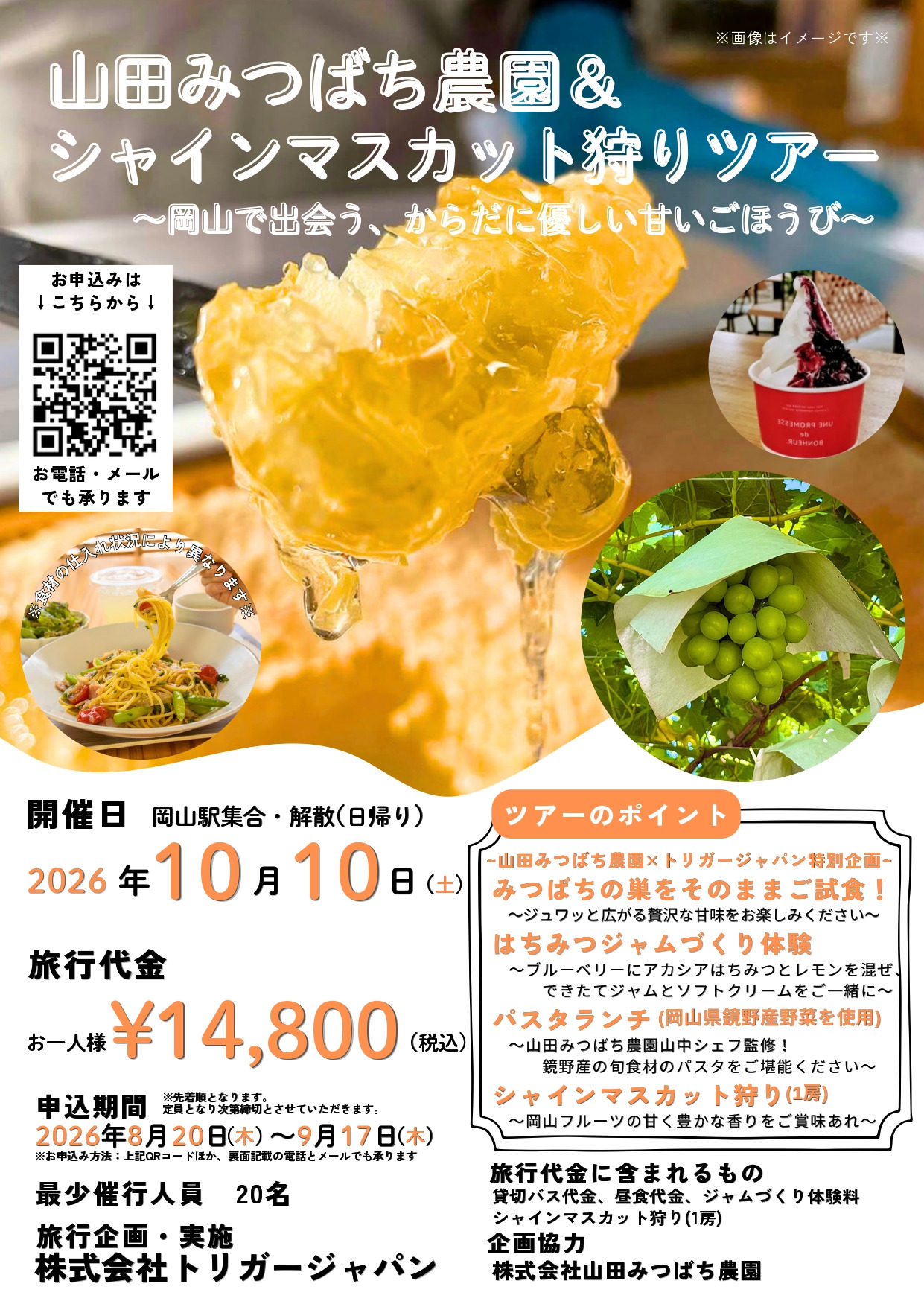 チラシ表