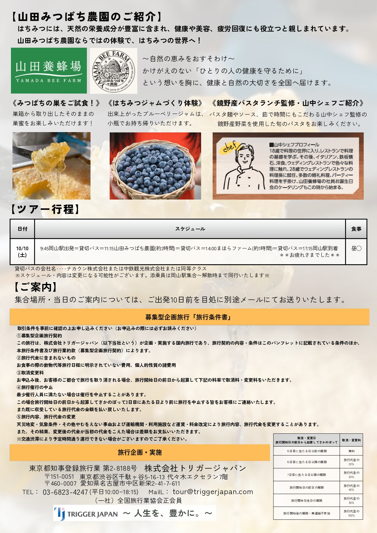 チラシ裏
