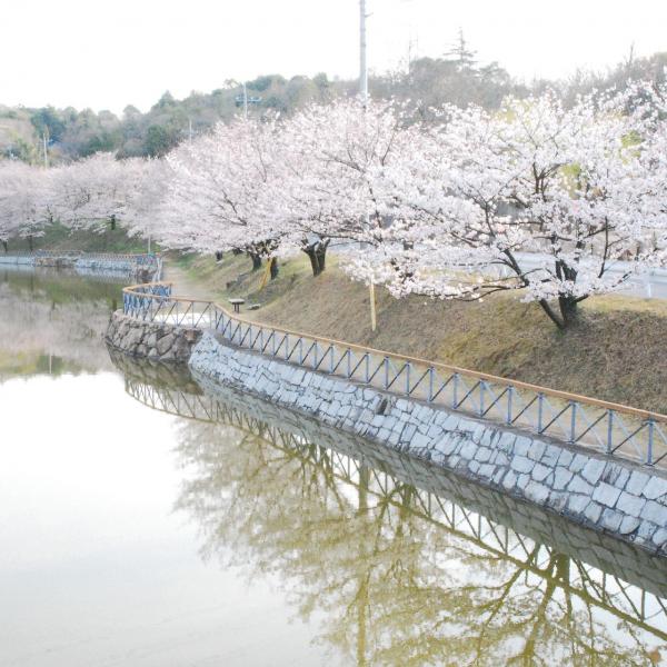 丸山公園