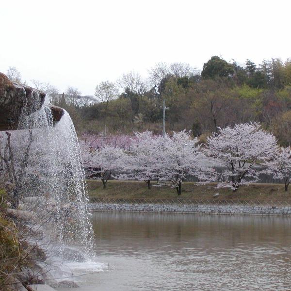 丸山公園