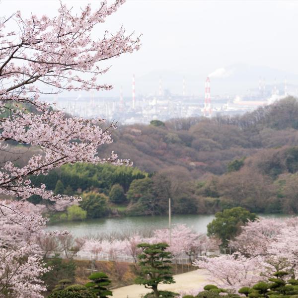 種松山公園西園地