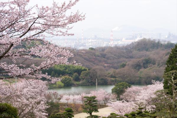 種松山公園西園地