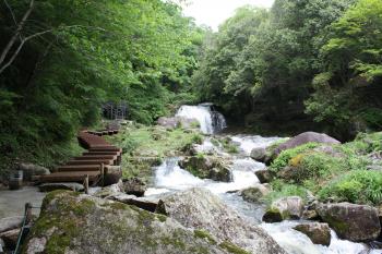 鳴滝森林公園
