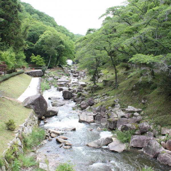鳴滝森林公園