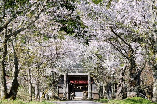 茅部神社
