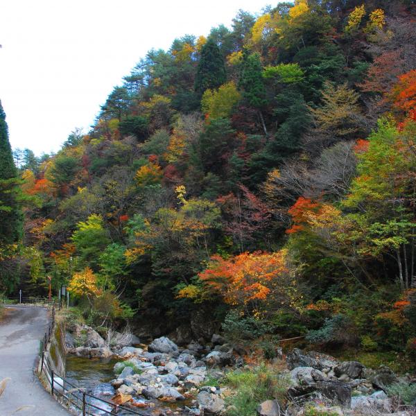 三室峡（縦）