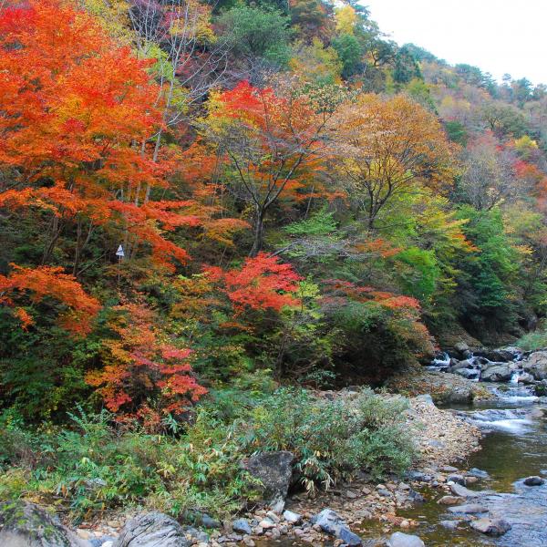 三室峡
