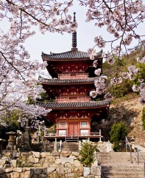 真光寺（縦）