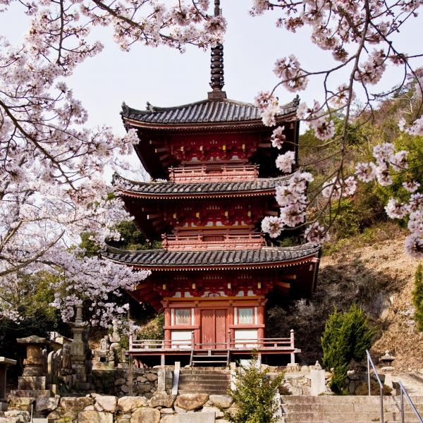 真光寺（縦）