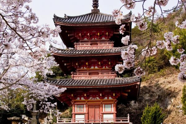 真光寺（縦）