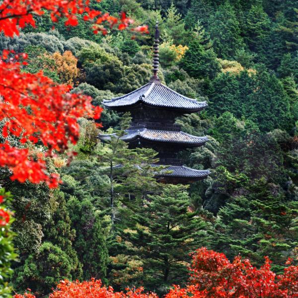 福生寺（縦）
