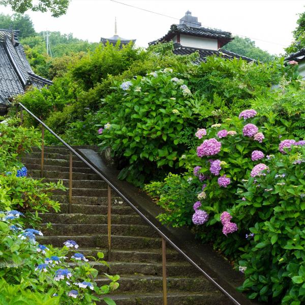 長法寺