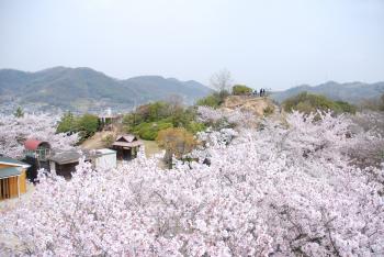 古城山公園