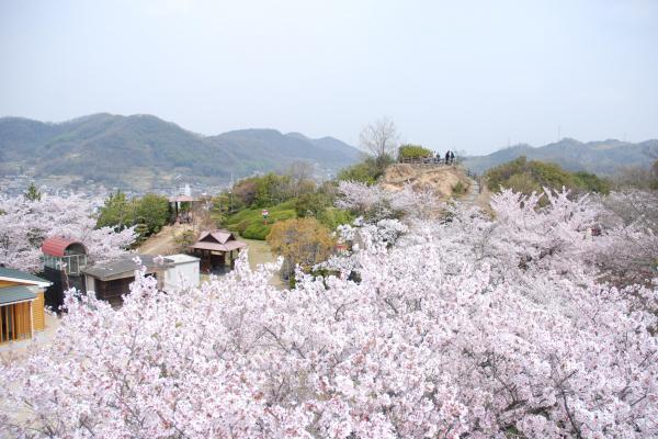 古城山公園