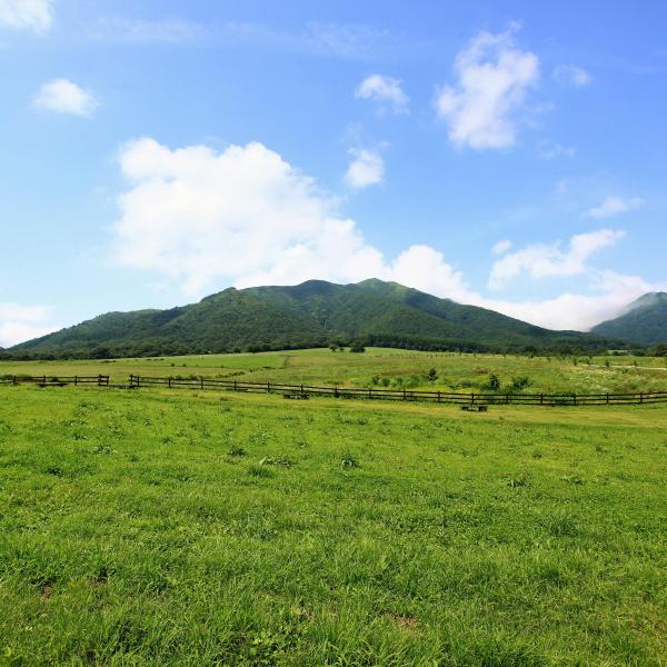 蒜山高原