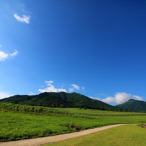 蒜山高原