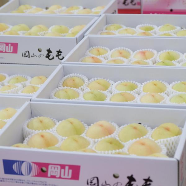 白桃