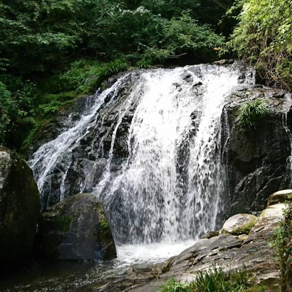 鳴滝（縦）