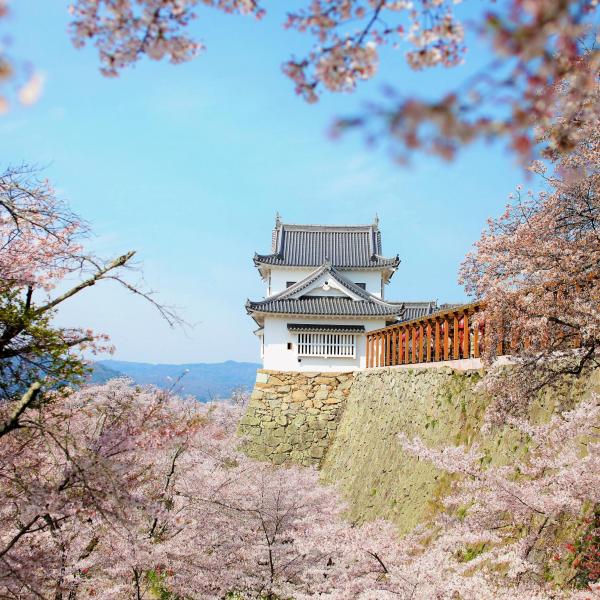 津山城（鶴山公園）