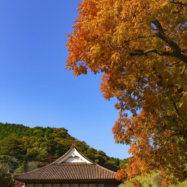 旧閑谷学校