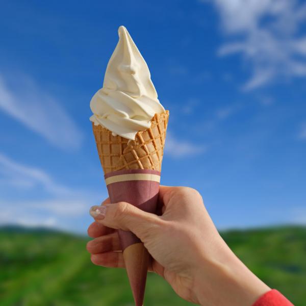 蒜山ジャージーソフトクリーム