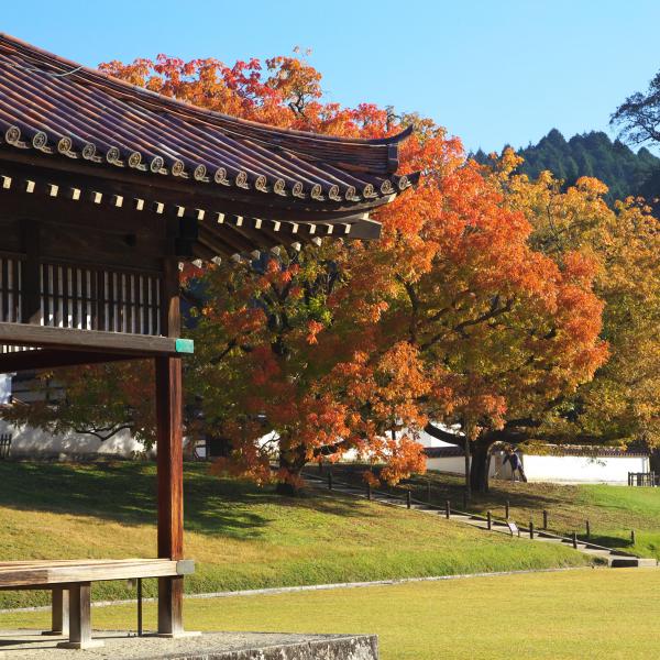 旧閑谷学校