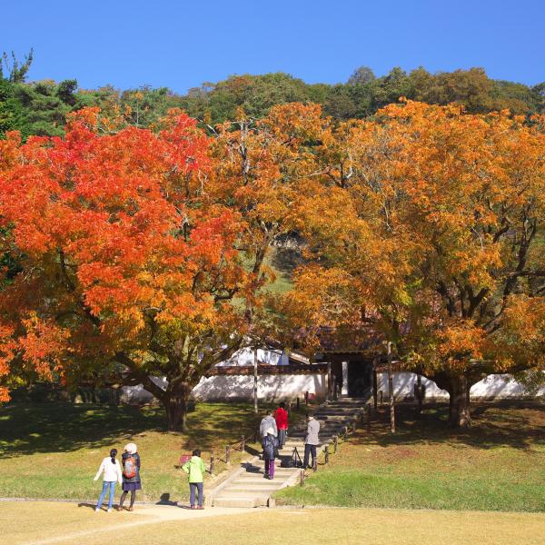 旧閑谷学校