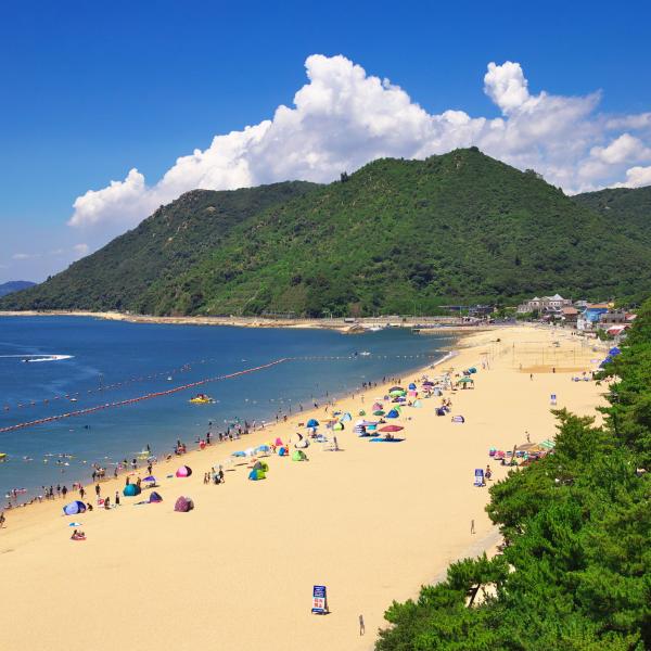 渋川海岸、渋川海水浴場
