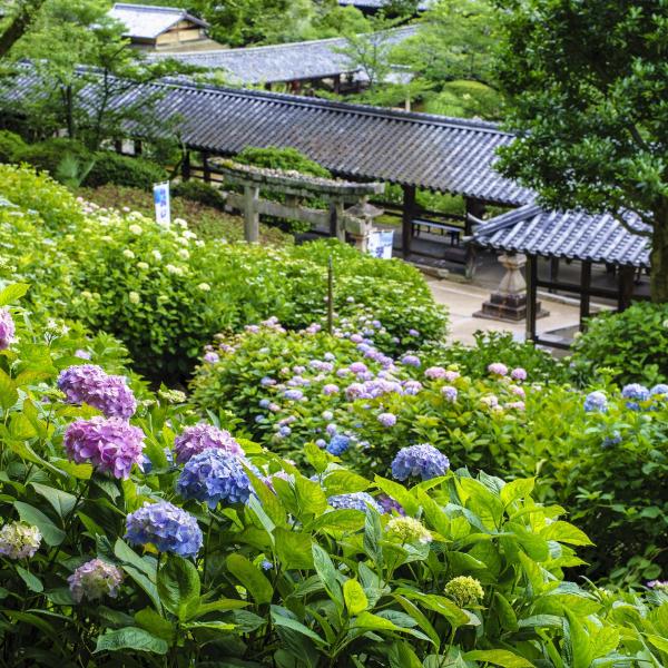 吉備津神社