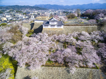 津山城（鶴山公園）