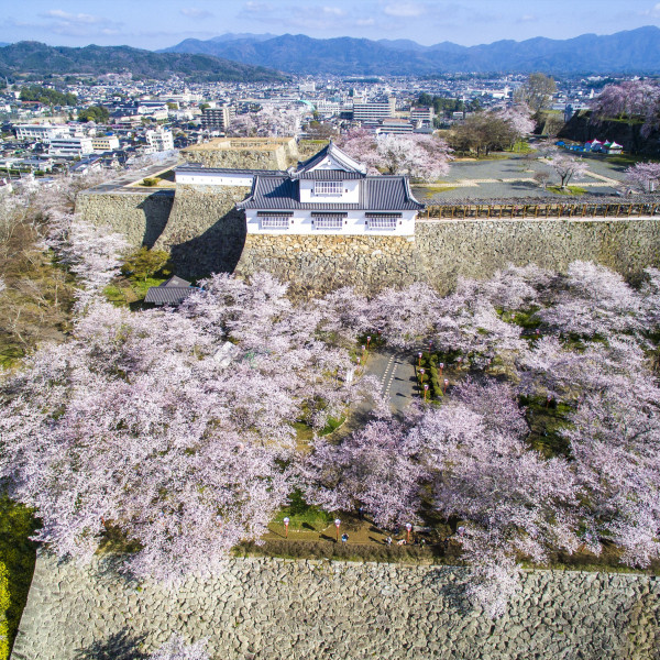 津山城（鶴山公園）