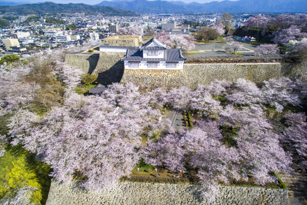 津山城（鶴山公園）