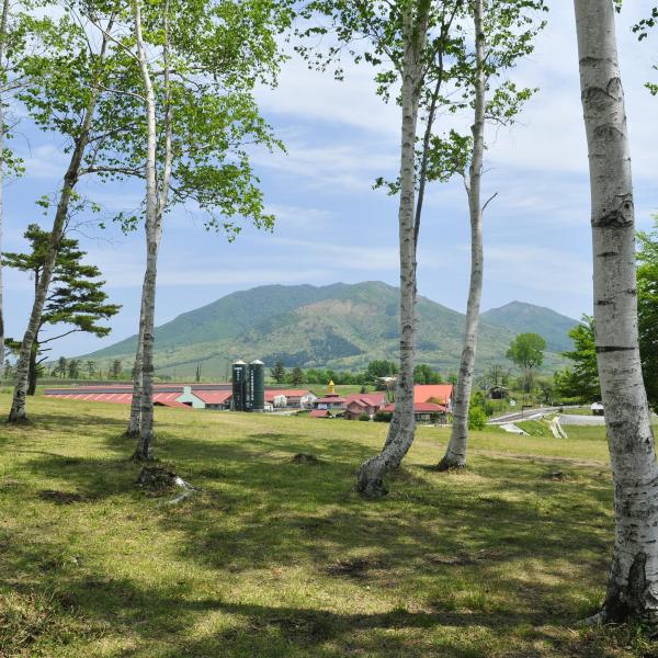 蒜山高原