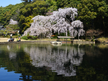 曹源寺