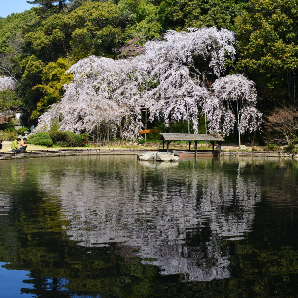 曹源寺