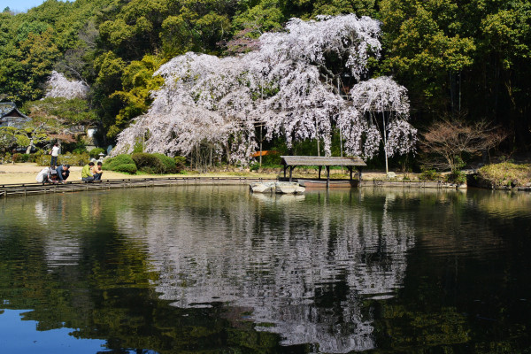 曹源寺