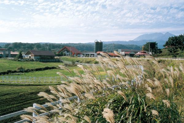 蒜山高原